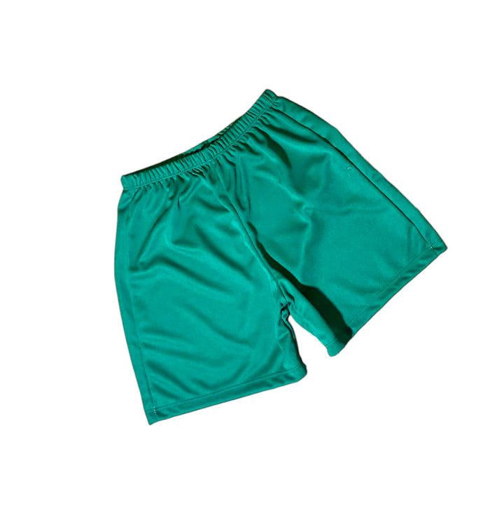 Fantasia Infantil Hulk M