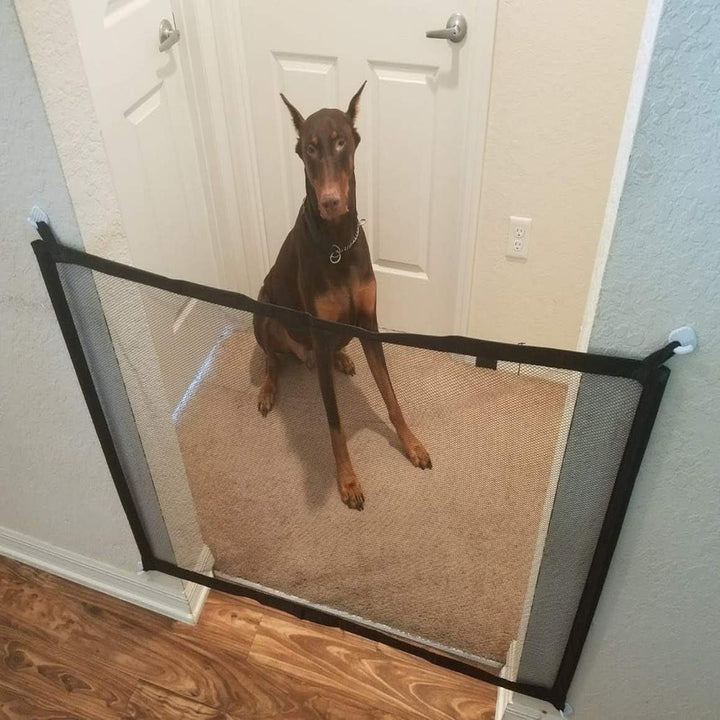 Tela Protetora Pets Cachorros Gatos E Crianças