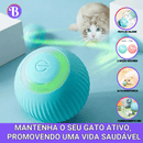 Bola MiauTech -Diversão Inteligente - Bializ