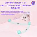 Bola MiauTech -Diversão Inteligente - Bializ