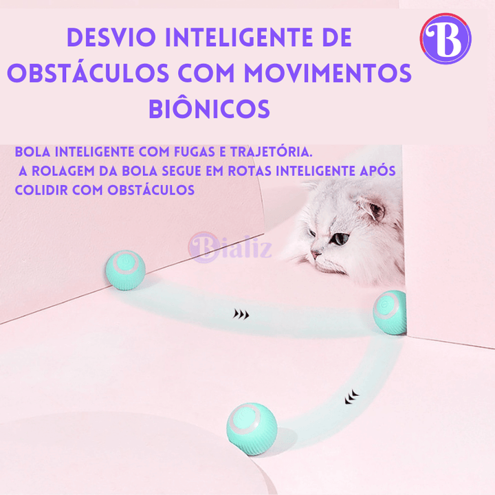 Bola MiauTech -Diversão Inteligente - Bializ