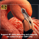Mini Projetor Portátil 4k Android Full Hd Smart Wifi Cinema - Bializ